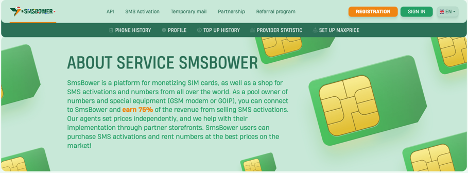 SMSBOWER测评：BitBrowser用户的终极虚拟短信服务